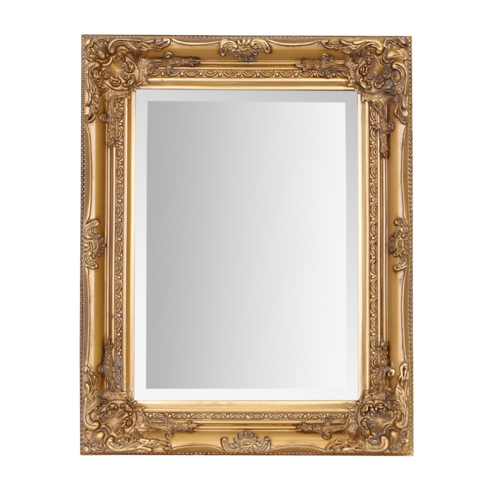 rhonegold42x53-1.jpg